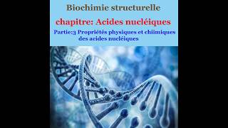 Cours de Biochimie structurale partie 4les propriétés physiques et chimiques des acides nucléiques [upl. by Poree157]