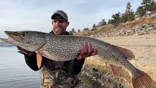 MASSIVE Pike on JERKBAITS  10 YEAR JOURNEY to CATCH A 40INCH PIKE [upl. by Larimor]