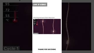 Polymerase chain reactionscience education viral shorts [upl. by Paehpos384]