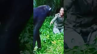 Chimpanzee was saved so she showed her love [upl. by Darline]