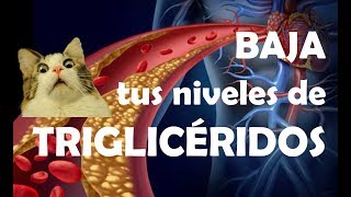 TRIGLICÉRIDOS altos DIETA y tratamiento  ¿Cómo bajar los trigliceridos [upl. by Norel175]