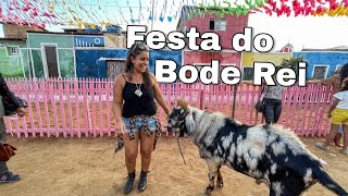 FESTA DO BODE REI EM CABACEIRASPB 2022 [upl. by Riatsala]