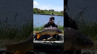 Carp Fishing Romania carpfishing fishing pescuit trending carps carpy [upl. by Ecnerat734]