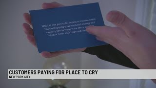 Customers paying for place to cry in sob parlour [upl. by Itnaihc]