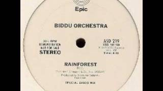 Biddu Orchestra  Rain Forest [upl. by Serilda]