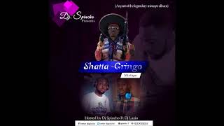 SHATTA WALE MIXTAPE HOSTED BY DJSPINCHO FT DJ LAZIO [upl. by Norby770]