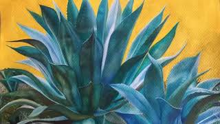 Agave tequilero [upl. by Ajax891]