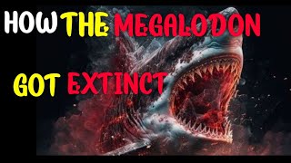 How Did The MEGALODON Got Extinct  Who Killed It [upl. by Grannia]