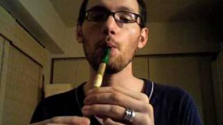 Down by the Sally Gardens  Tin Whistle by Daniel Edwards ティンホイッスル演奏 [upl. by Ioves521]