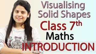 Visualising Solid Shapes Introduction Chapter 13  NCERT Class 7th Maths Solutions [upl. by Soiritos]