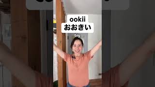 Learn 🇯🇵 in 30 seconds a day Follow me❤️ [upl. by Cynthie936]