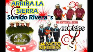 arriba la sierra mix armadillos los benitez impacto sierreño corridos [upl. by Ecnirp]