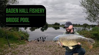 BADEN HALL FISHERY  BRIDGE POOL  CARP FISHING  AUTUMN 2024 [upl. by Wylma]