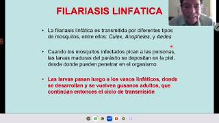 FILARIASIS ONCOCERCOSIS Y LOASIS [upl. by Dahlstrom752]