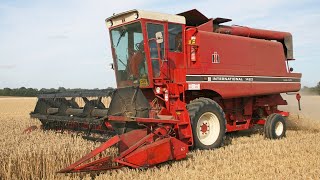 1985 International 1420 AxialFlow combine  Classic IH rotary  Combine Harvesters DVD [upl. by Hetti340]