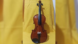 VIOLINO DI ROMEDIO MUNCHER DEL 1928 FIRMATO DAL MAESTRO LITUAIO DI CREMONA [upl. by Hgielrak]