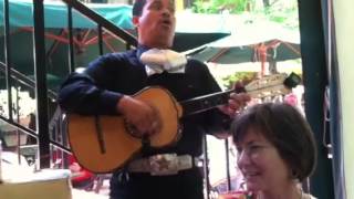 Mariachis sing a Mothers Day song to Jessica [upl. by Iloj]