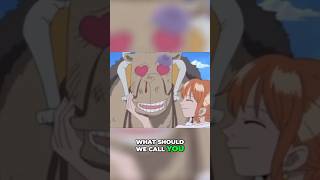 “The Straw Hats Meets Eyelash” funny anime onepiece cartoon trendingshorts youtubechannel sub [upl. by Gerger649]