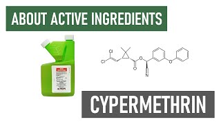 What is Cypermethrin Long Lasting Residual Insecticides [upl. by Luella]