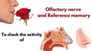 To check the activity of Olfactory nerve and Reference memory hap mlsuudaipur medicalstudent [upl. by Leidba832]