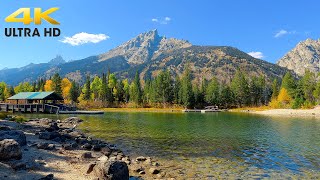 Grand Teton National Park Autumn Colors Scenic Drive 4K [upl. by Korie]