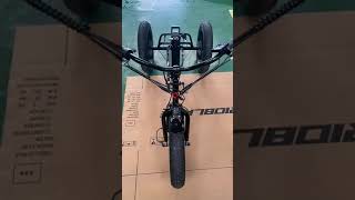 3 wheel electric bicycle Installation guide [upl. by Hertzog]