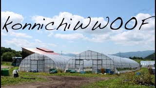 konnichiWWOOF  WWOOFing in Japan [upl. by Aiciles]