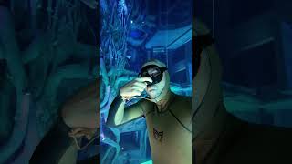 How to avoid ear pain when diving deep 🙉 earpain equalize equalization freediving underwater [upl. by Nailuj]