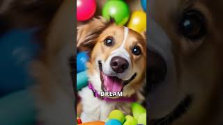 I Hacked a Dogs Dreams [upl. by Solitta]