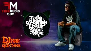 Tego Calderon Mix Reggaeton Old School Lo Mejor 🔥 Dj Fire Quintana [upl. by Eimma]