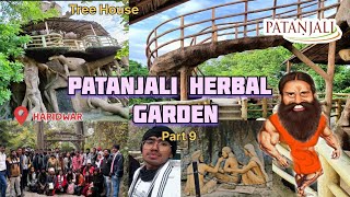 Patanjali Herbal Garden  Part 9  Excursion  Haridwar [upl. by Pall903]