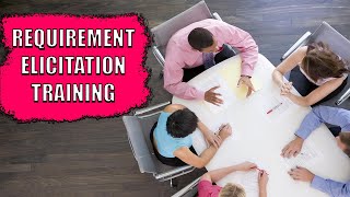 14  Business Requirements Elicitation Session Example  Business Analyst Training [upl. by Leuqer873]