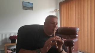 Carrickfergus tin whistle [upl. by Blithe]