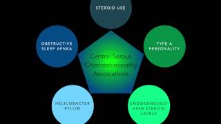 Central Serous Chorioretinopathy Part 1 [upl. by Anirda965]