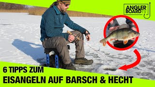 6 Tipps zum Eisangeln auf Barsch und Hecht in Deutschland  Angeln im Winter am See  Anglerboard TV [upl. by Ingemar]