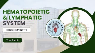 Biochemistry L5 C1C2 Hemoglobinopathies [upl. by Yslek543]