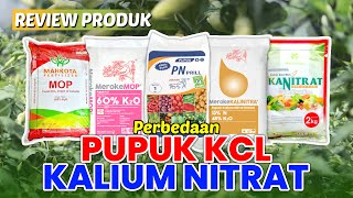 Ketahui Perbedaan Pupuk KCL dan Kalium Nitrat Produktivitas dan Kualitas MENINGKAT benihonline [upl. by Annaor625]