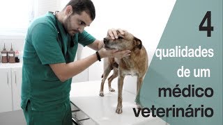 Quer ser veterinário Veja esse vídeo antes [upl. by Alvar]