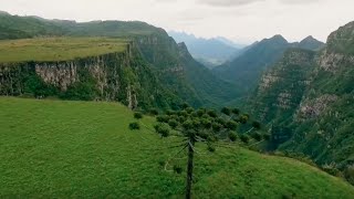 Caminhos da Natureza [upl. by Matt]