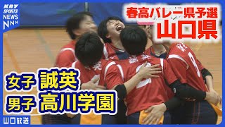 【春高バレー】高川学園（男子）と誠英（女子）が全国大会へ！山口県予選決勝｜ [upl. by Noel298]