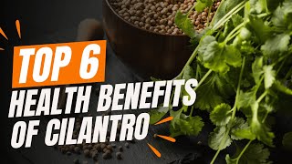 Cilantro Wonders Top 6 Reasons to Include It in Your Diet [upl. by Laban]