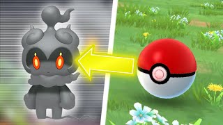 How to Get Marshadow in Pokémon GO [upl. by Aman]