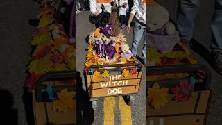 Tompkins Square park Halloween Dog Parade 2024 [upl. by Kubis843]