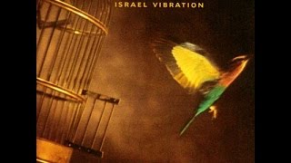 ISRAEL VIBRATION  Travelling Man Free To Move [upl. by Mazlack18]