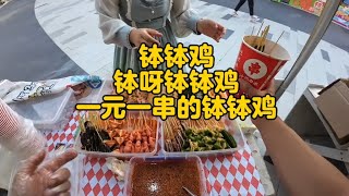 钵钵鸡70元的材料成本卖了300多，利润很高，穿串却用了半天 [upl. by Adniralc943]