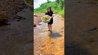 Amazing Fresh Hazelnut 🌰🌰 Harvest from Farm amp Rural Farmer Activites 👍 shorts satisfying [upl. by Wei]