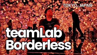 Visiting the NEW teamLab Borderless MORI Building DIGITAL ART MUSEUM [upl. by Hannibal]