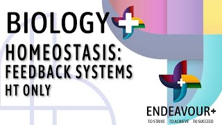 BIOL2 Feedback Systems HT Only [upl. by Keeler]