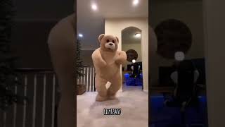 Funny bear dancing lily13457 funnyvideo [upl. by Zebapda]