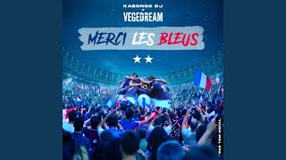 Merci les bleus [upl. by Beora]